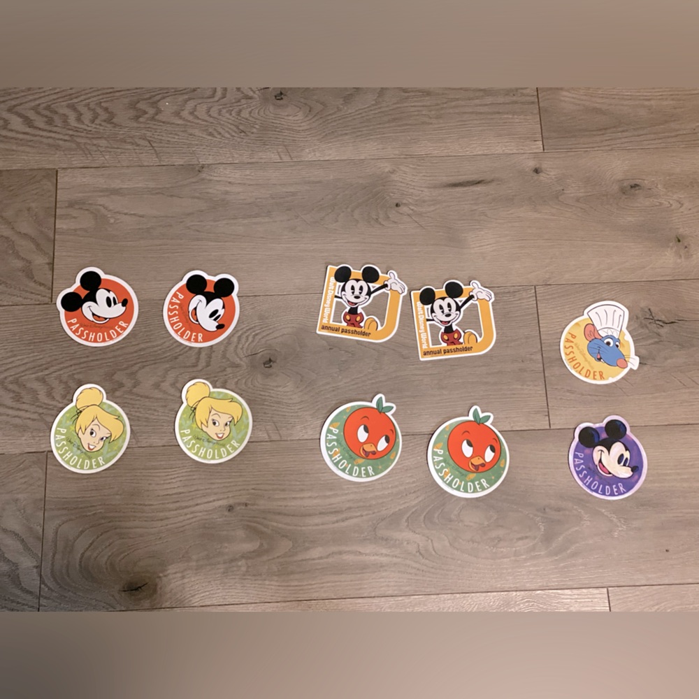 DISNEY PASSHOLDER MAGNETS